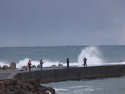 Ƃ炳񂳂̃nCC̓eʐ^2