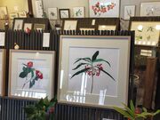 ڂ̊ORNY  ̉Ԋق̓eʐ^4