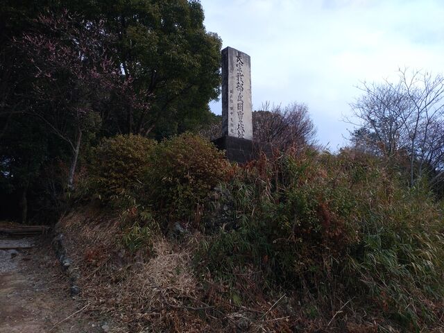 ���i_���L���