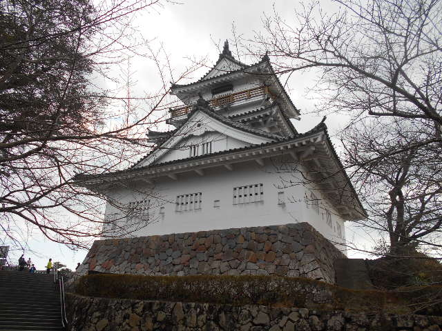 �g�V���[����̋n�z��̓��e�ʐ^1