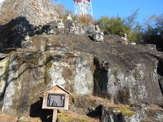 �g�V���[����̊ω��� �E�\�Z�����̓��e�ʐ^1