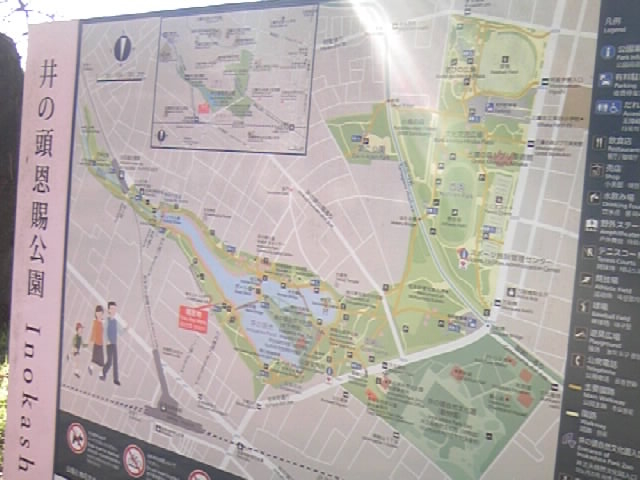 �w����k�������̌���_�i�q�g�ˎ��w