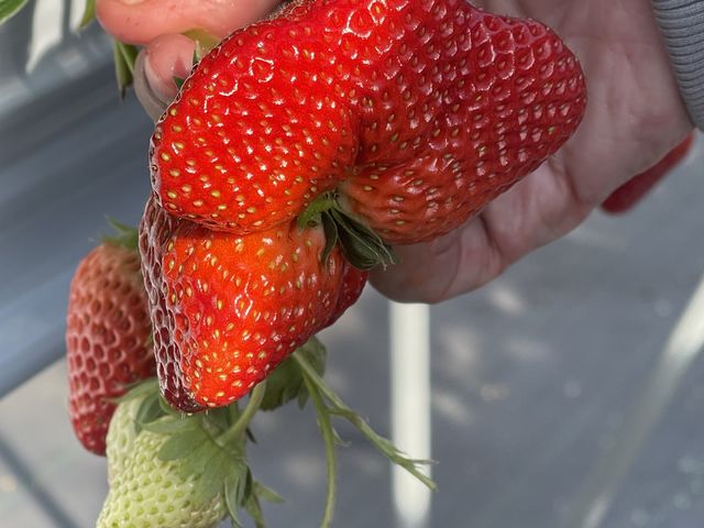 �ł����I_�����ό��A�O���X�l����