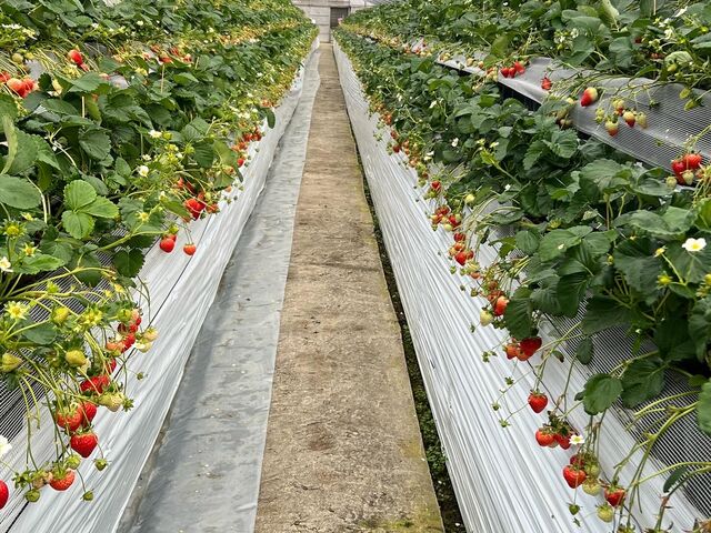 3�i�ɂȂ��Ă���A��������肵�₷�������ł�����_�E�L�E�L����������ό��_��