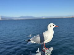 �x������̕x�m�R�����݂ȂƃN���[�Y�ւ̓��e�ʐ^1