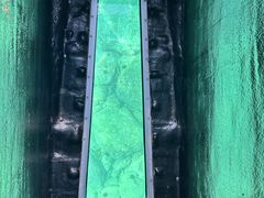 �Ȃ���̐̓��A�@���M�O���X�{�[�g�ւ̓��e�ʐ^4