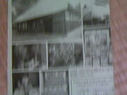 �T���v������̖ڍ���Ö��Ƃ̓��e�ʐ^2