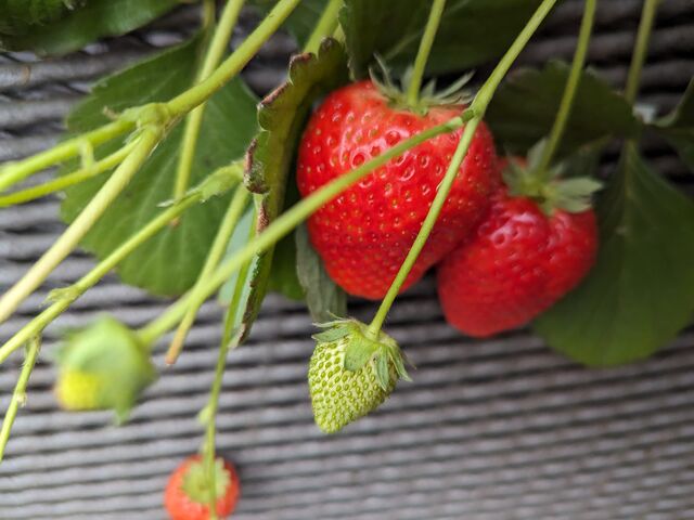 �Â��������ł��B_�����_��