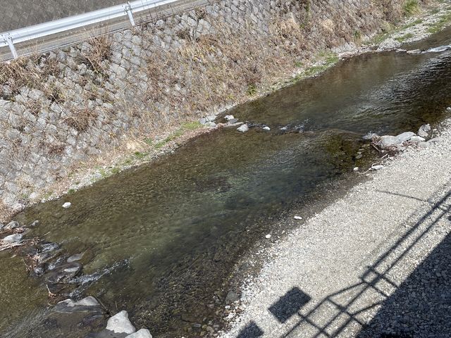 �ނ����Y��Ȑ�_�k��쉶���܂��ޏ�