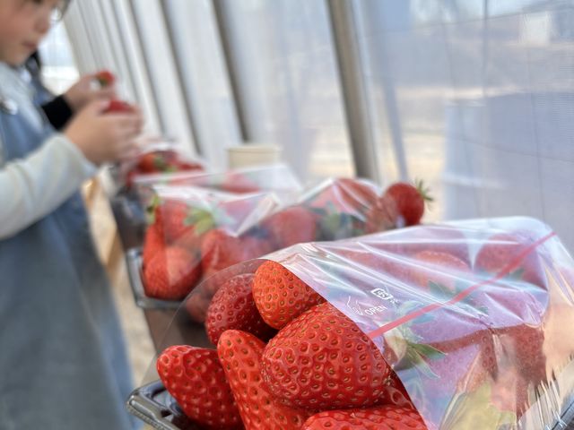 �X���ł͂��蓾�Ȃ��ʂ��l�߂����Ē����܂���_THE RED mountain berry farm