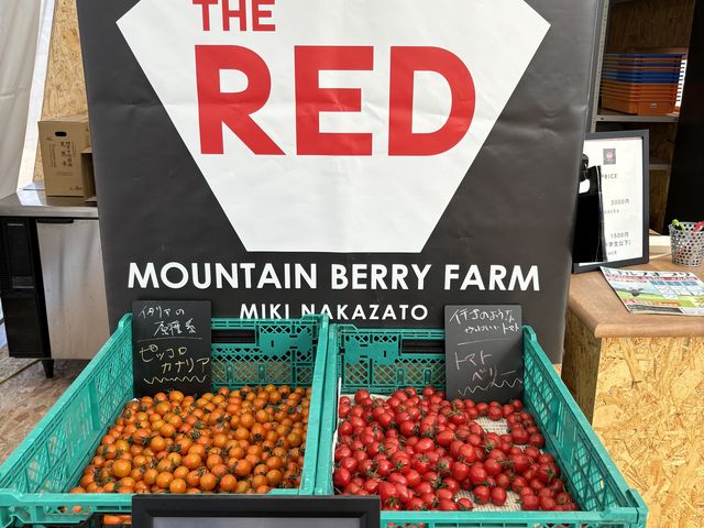 ���̃g�}�g���ō�������(^^)_THE RED mountain berry farm