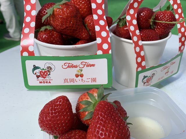 �ǂ̕i������n�ŊÂ��������������ł��I_Twins Farm �^����������