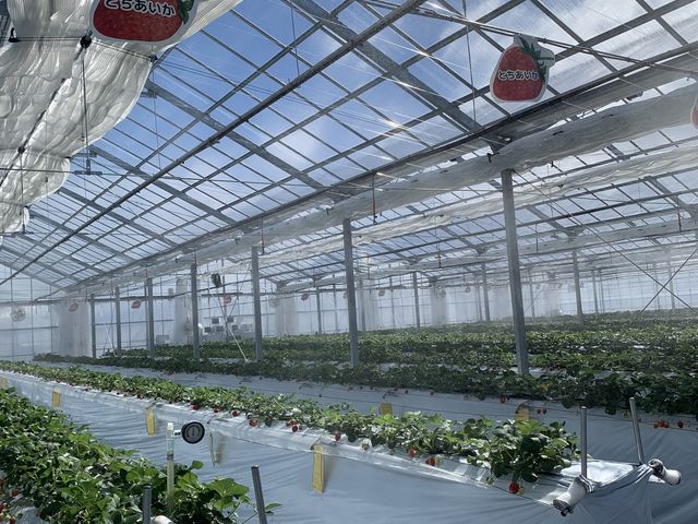 �Y��ōL�X�Ƃ����ʘH�Ȃ̂ŕ�����I�΂Ȃ��̂����肪�����ł��B_Twins Farm �^����������