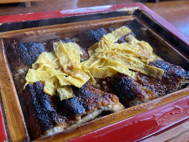 ���ł�_���c�{�g��