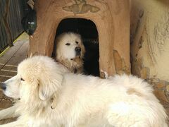 \ac΁@_ブY@`̃LXg̎ʐ^1