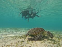 肭ۂ񂳂̃I[X[Vm[P{Óւ̓eʐ^1