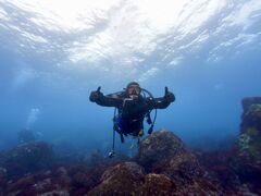 qf̈ɓ_CrOXN[ gbcւ̓eʐ^1