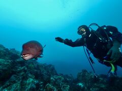 qf̈ɓ_CrOXN[ gbcւ̓eʐ^2