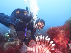 qf̈ɓ_CrOXN[ gbcւ̓eʐ^3