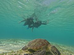 l̃I[X[Vm[P{Óւ̓eʐ^1