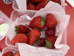 �H�ׂ�̑�D������̋��Ԃ����������ւ̓��e�ʐ^1