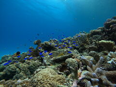 SayảAChN[ւ̓eʐ^1