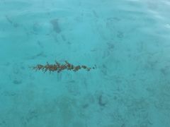 SayảAChN[ւ̓eʐ^2