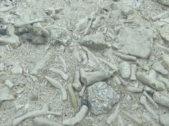 SayảAChN[ւ̓eʐ^3