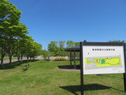 L̉Ìy܂ׂw̓eʐ^2