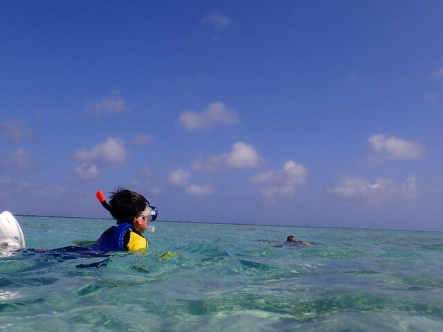 亀の顔出し、超可愛い!_imtida宮古島
