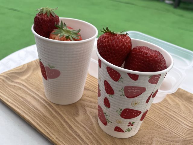 �����������_��_Twins Farm �^����������