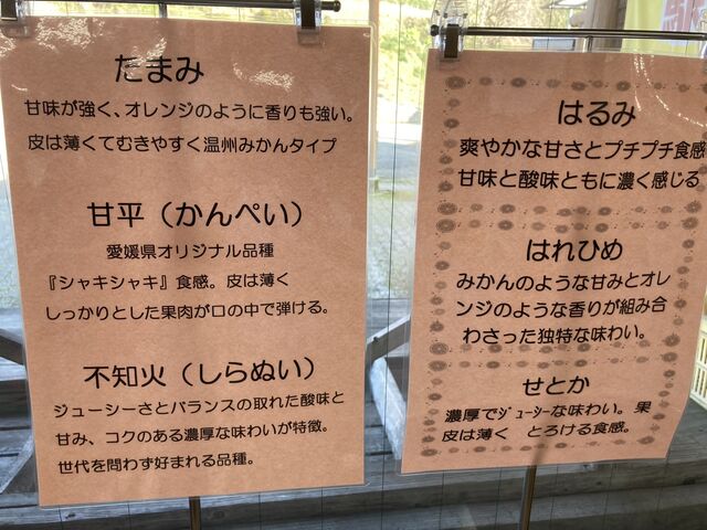 �݂��񉤍��̃��C���i�b�v_���̉w�@�Ȃ����