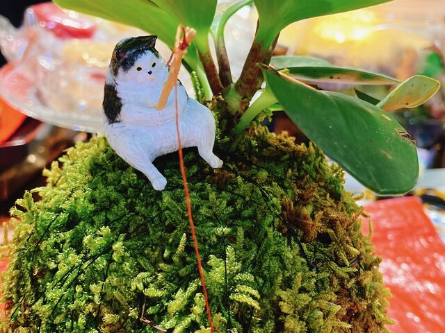 �ۋʂɒu���I�u�W�F���I�Ԃ��Ƃ��ł��܂��I_������