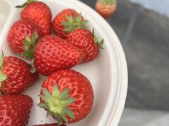 Ȃ񂳂̂̋k_ւ̓eʐ^1