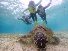 ЂƂ݂񂳂nico {Óւ̓eʐ^2