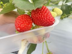 wangyf6䕉 ݂̂ւ̓eʐ^1