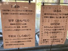 Ƃ񂳂̓̉w@Ȃ܂ւ̓eʐ^2