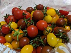 naotin̂ǂEEH[^[Et@[ւ̓eʐ^1