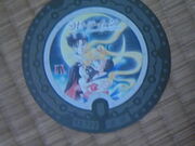 Tv̍`όCtH[VZ^[yꎞz̓eʐ^2