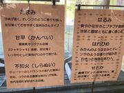 Ƃ񂳂̓̉w@Ȃ܂̓eʐ^2