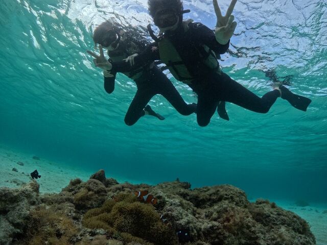 �����������񂢂܂����I_���񂴂ɂ{�Ó�