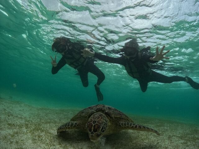 �C�K���ɂ������܂����B_���񂴂ɂ{�Ó�