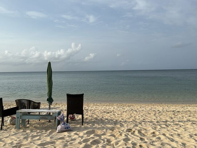 �J�\��ł������ƂĂ��Y��ȊC�ł����B_���񂴂ɂ{�Ó�