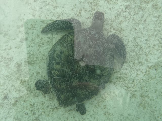 �T�b�v�̏ォ��B�e���܂�����_���݂����