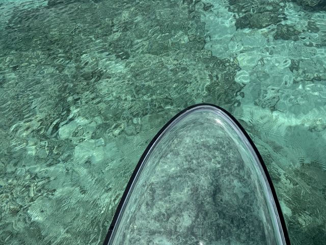 �T�b�v�������Ȃ̂ŁA�C�̏�ɐQ�]��ł�悤�Ȋ��o��
������������܂�����_���݂����