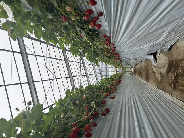 �Ȃ������ɁB�B�B����C�x���[���݂̂�ł��B_�{�c��������