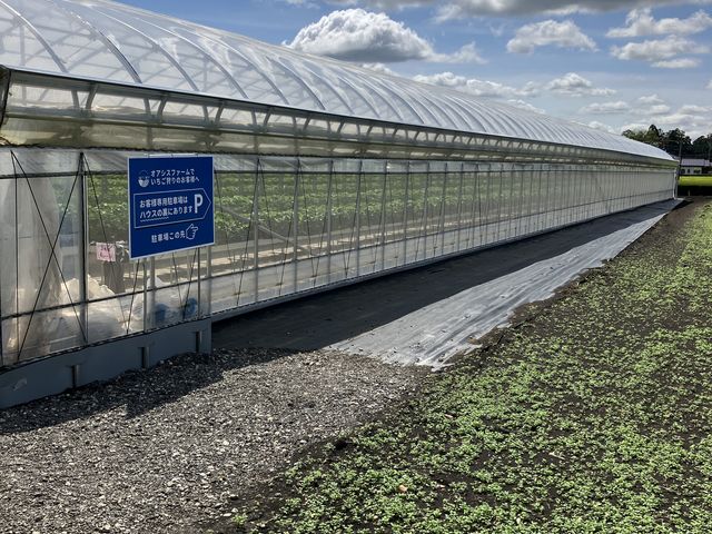 ̉ɒԏꂠ_IAVXt@[ԓ{