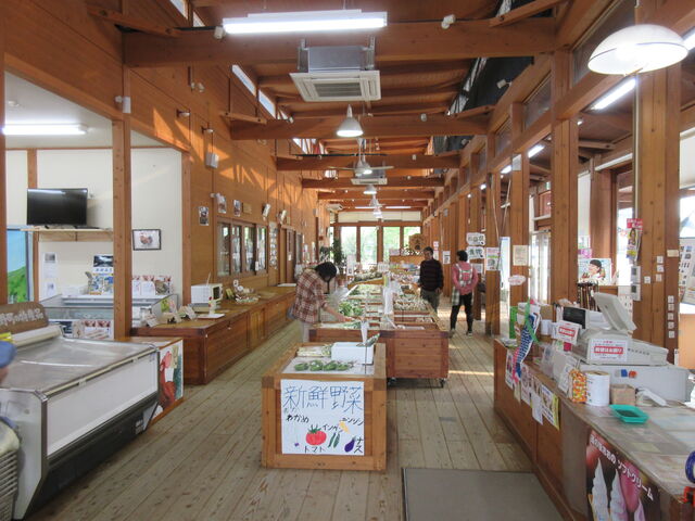 ������񂳂�̓��̉w �����̂̓��e�ʐ^3