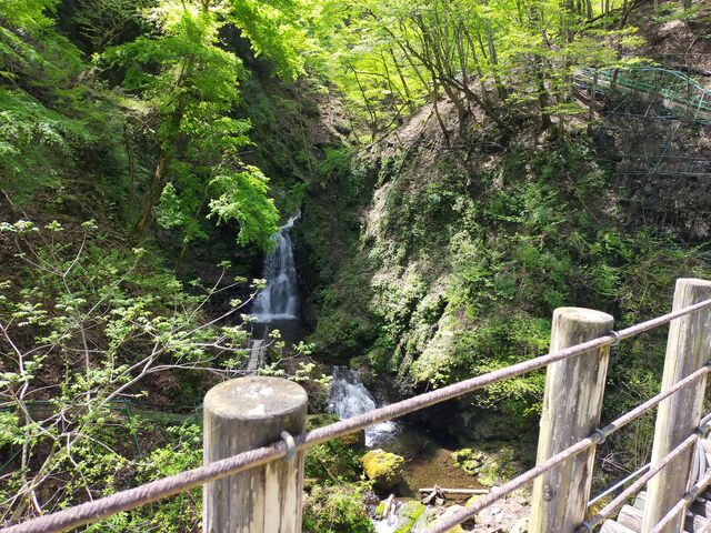 �݂苴�ƌk��_���m���S�i�X��