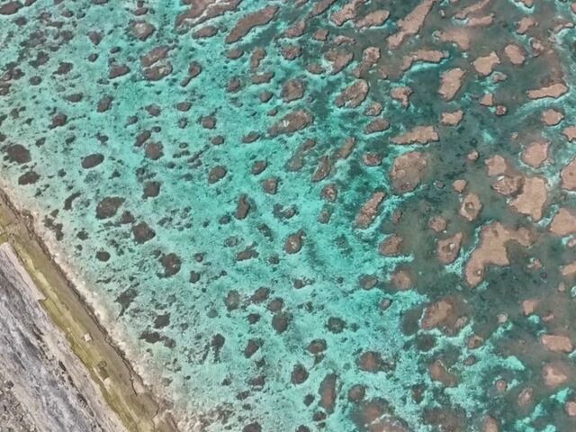 �i�F�@_���݂����